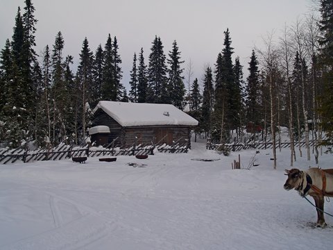 Blockhaus im Winter mit Schnee