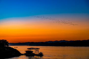Beautiful Silhouette Orange Sunset on the Lake Hill with Many Birds Flying.
