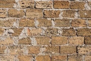 Background wall of shell rock. Shell rock. Texture of the wall of stone.