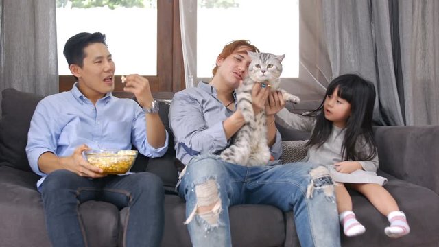Family concept. The girl is playing a cat with her brother.
