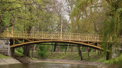 Fototapeta na wymiar Goldene Brücke über blauem Fluss im Wald