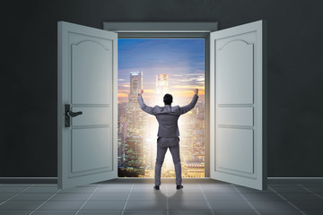 Businessman entering big large door