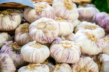 Garlic at the market display stall