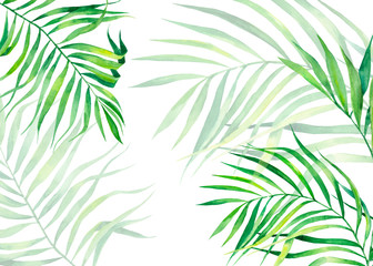 Fototapeta na wymiar Background frame in watercolor style. Exotic coconut leaves. Natural print. Bright green tropical frame for greeting cards, web design.