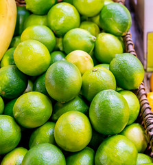 Citrus fruits at the market display stall