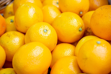 Citrus fruits at the market display stall