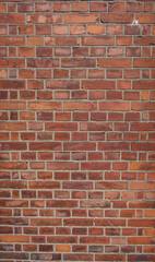 Brick wall 1
