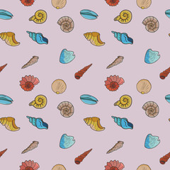 Obraz premium A variety of vector shells made in the same style. Hand-drawn pattern.