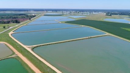 this shot was taken by fly-over Drone of Catfish farm in Alabama