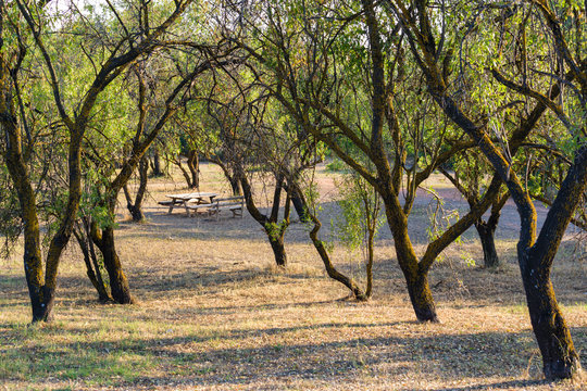 Sygrou estate nature at Marousi, Athens