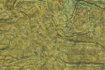 Metal iron destroyed. Background copper- 3D rendering