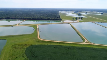 this shot was taken by fly-over Drone of Catfish farm in Alabama
