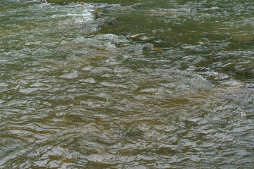 Wave Water flow In the rive
