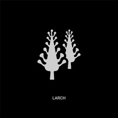 white larch vector icon on black background. modern flat larch from nature concept vector sign symbol can be use for web, mobile and logo.