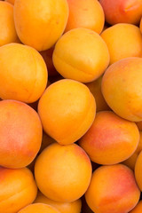 Ripe apricots on the market. Background of apricots close-up.