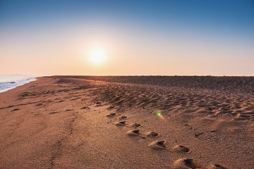 Sandy beach- sea background
