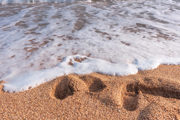 Sandy beach- sea background