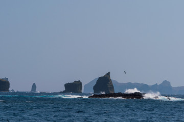 小笠原　聟島　針之岩