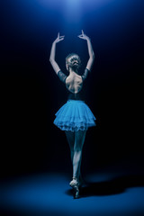 Fototapeta premium back of ballet dancer