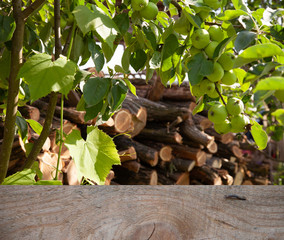 Blurred background of forest park garden with wooden table