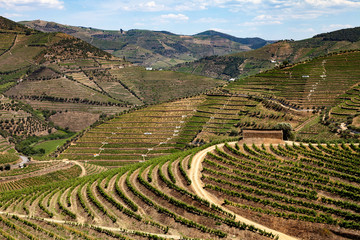 Vallée du Douro