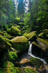 Wasserfall durch moosbedeckte Felsen im Schwarzwald / Cascade through moss covered rocks in black forest - obrazy, fototapety, plakaty