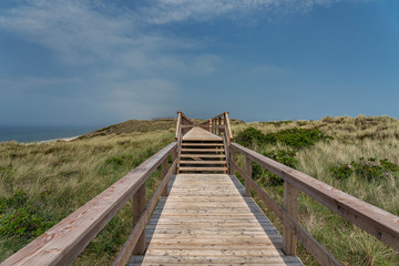 Sylt - View to boardwalk  and Grass Dunes at Beach at Wenningstedt / Germany