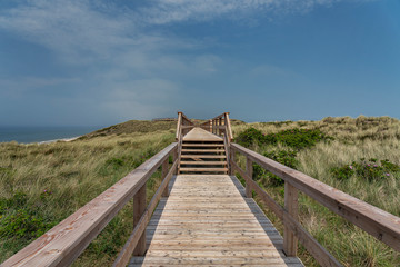 Fototapeta premium Sylt - View to boardwalk and Grass Dunes at Beach at Wenningstedt / Germany