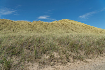 Sylt - View grass dunes alongside to hiking path, / Germany