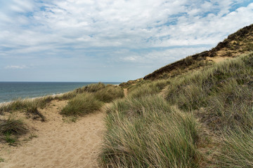 Fototapeta na wymiar Sylt - View to Grass- and Sand-Dunes at Kampen Cliff / Germany