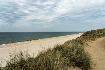 Sylt - Panorama-View to Grass-Dunes with View to North Sea at Kampen Cliff / Germany