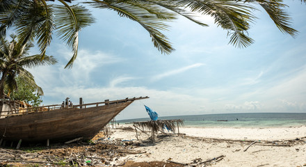 habor contructing wooden boads between palm trees at the beach