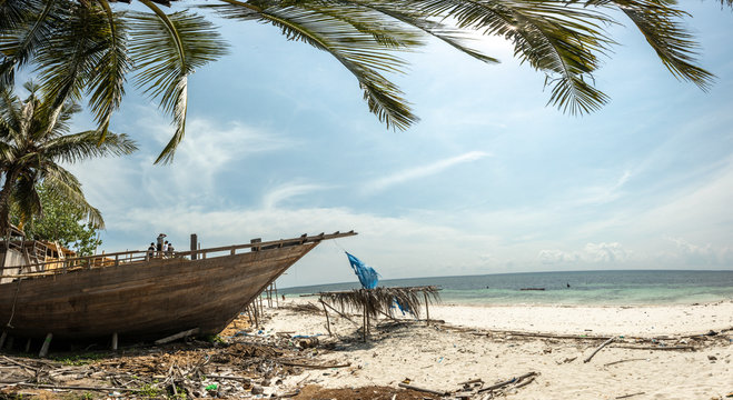 habor contructing wooden boads between palm trees at the beach