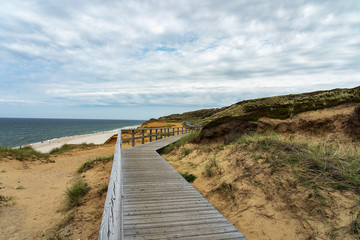 Fototapeta premium Sylt - View from boardwalk to Grass- and Sand-Dunes at Kampen Cliff / Germany