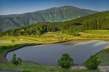 兵庫県　氷ノ山と別宮の棚田