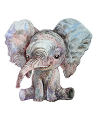 Obraz premium Baby Elephant