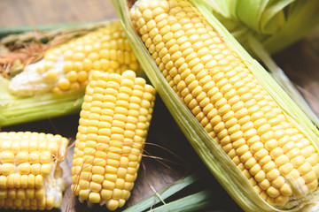 Corn on cobs and sweet corn ears on wooden background