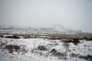 Winter in Murcia