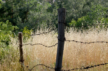 barbed wire and fence