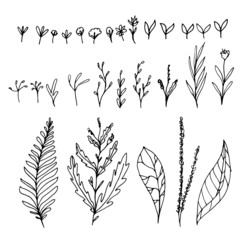 floral graphic elements for frame