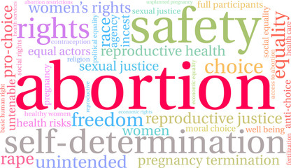 Abortion Word Cloud on a white background. 