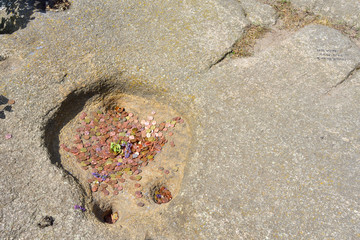 Blick von der Rosstrappe im Harz