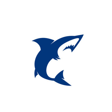 Wild Shark Logo Stock Image