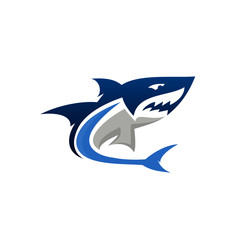 Wild Shark Logo Stock Image
