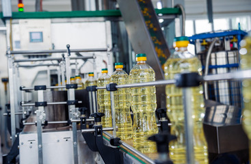Bottling line of sunflower oil in bottles. Vegetable oil production plant. High technology.