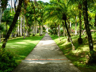 Fototapeta premium Park