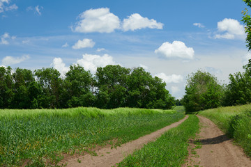 Fototapeta na wymiar Beautiful spring landscape - Ground road in the wheaten field and cloudy sky