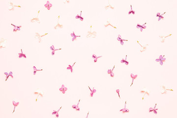 Flower pattern. Fresh lilac flowers in a chaotic state located on a pink background