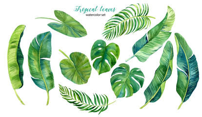 Tropical leaves, palm leaves drawn by hand. Set of watercolor illustrations. For fabric, cards, invitations, weddings and other