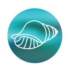 Icon sea shell on blue background. Circle emblem with shell isolated on white background